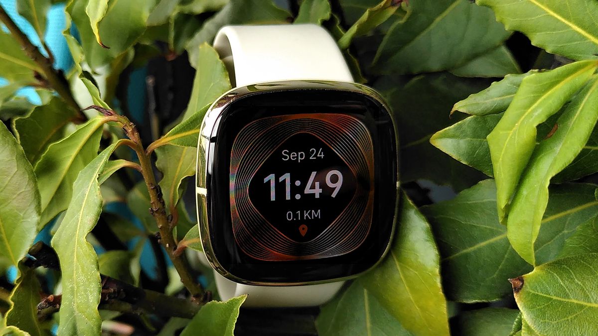 We just got our first look at Fitbit’s next fitness smartwatches