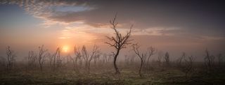 Photograph titled After The Fire by Mik Dogherty, a winner in the Landscape Photographer of the Year 2023 competition