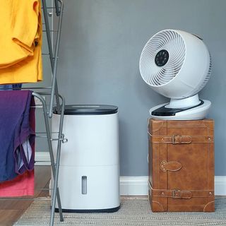 Do dehumidifiers dry clothes?