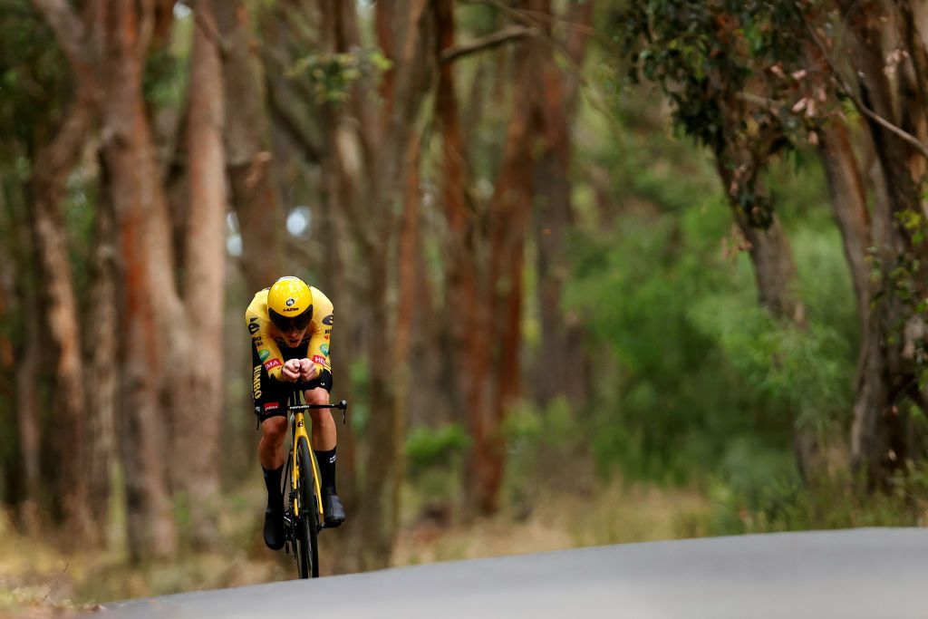 Rohan Dennis (Jumbo-Visma) blast through the trees