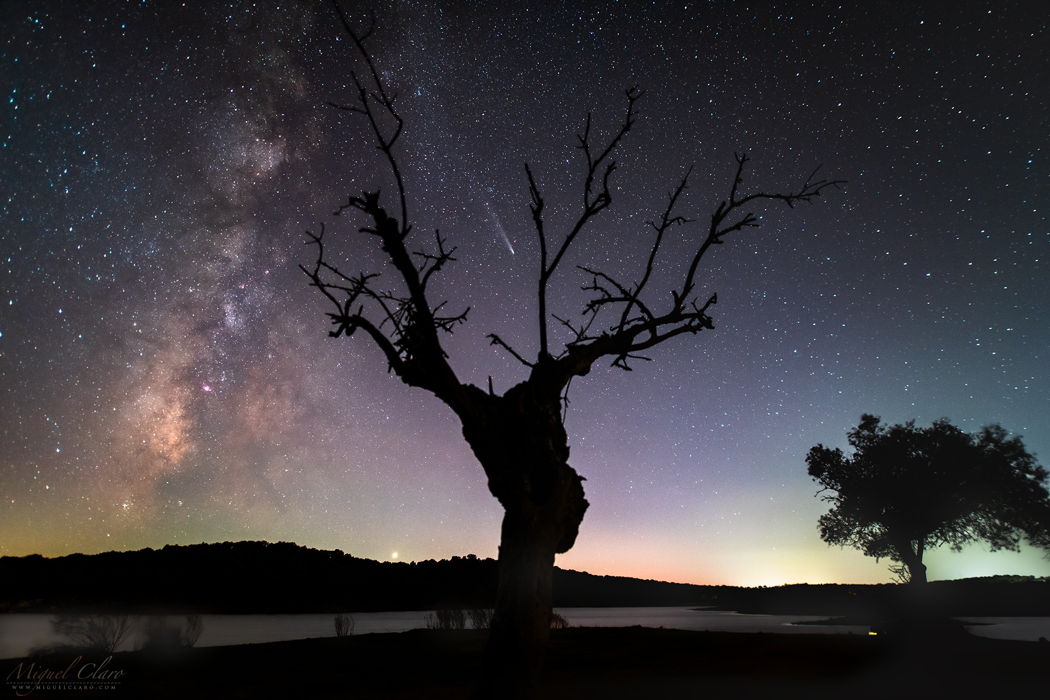 a streak of white light hangs in a starry night sky above the silhouette of a tree