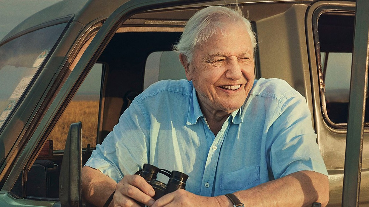 David Attenborough leans out of a car window with a big smile on his face. He is holding binoculars and looking out onto the savannah.