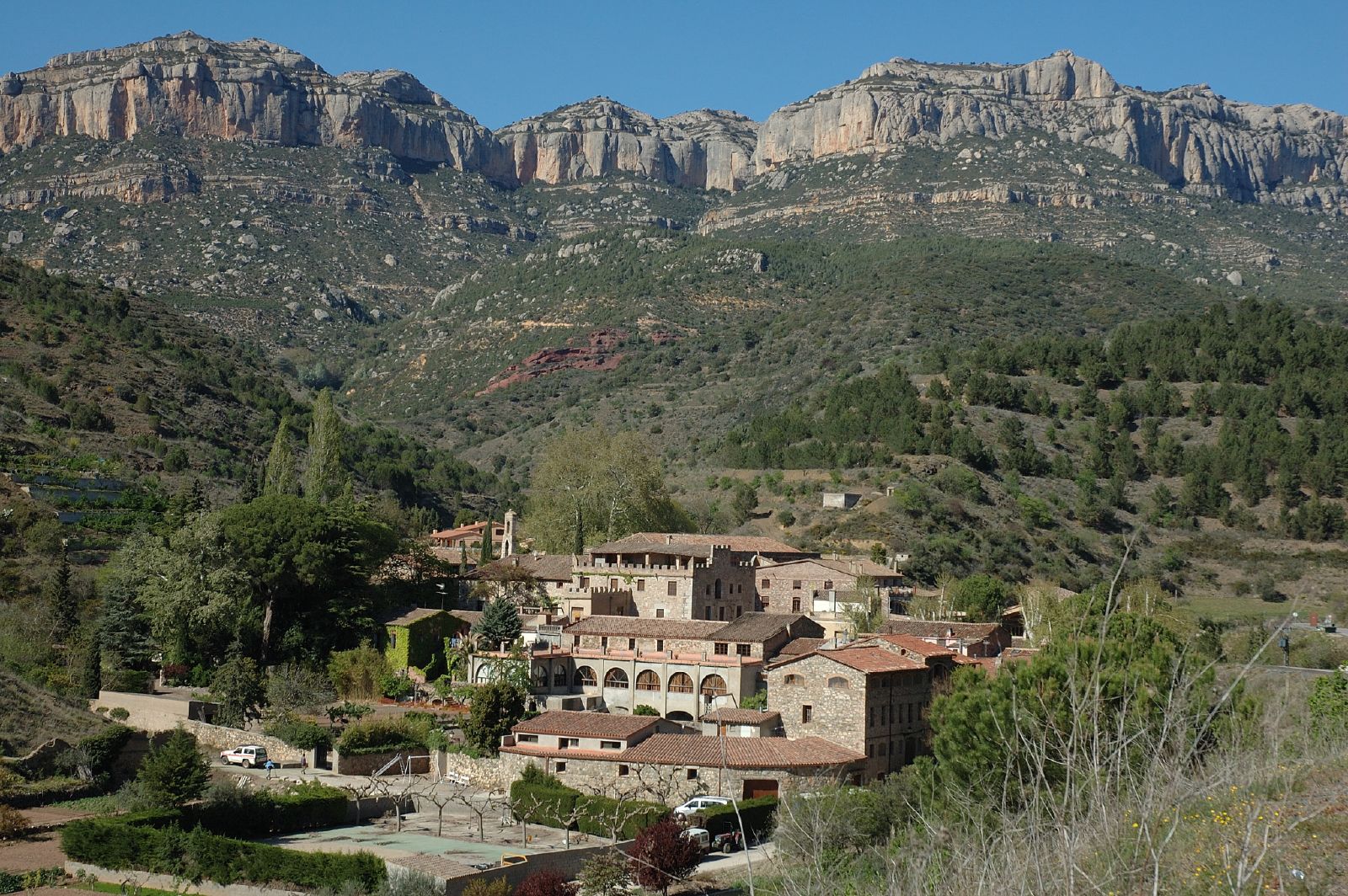 000009cfe-Priorat_Wiki.jpg