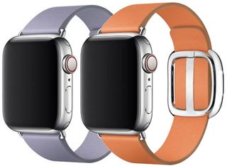 Wish Modern Buckle Strap Apple Watch Render Cropped