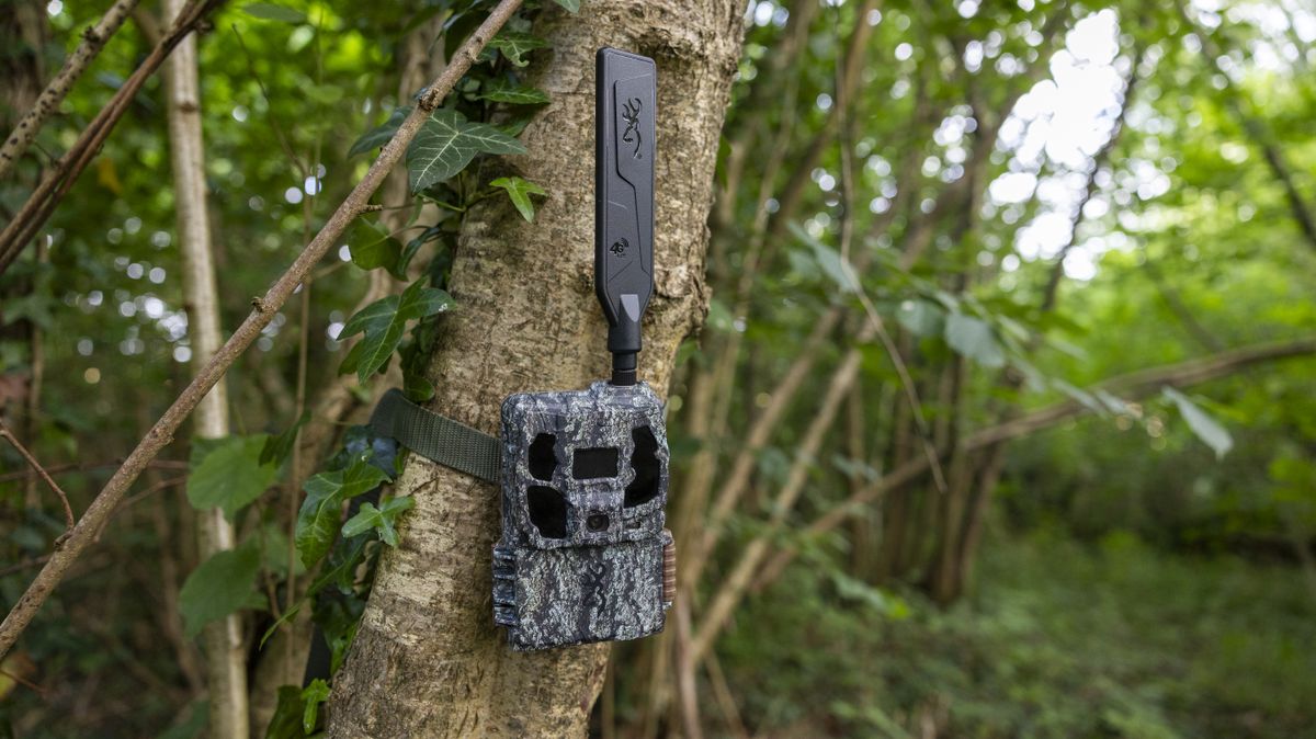 The Browning Defender Pro Scout Max Solar trail camera attached to a tree in a woodland