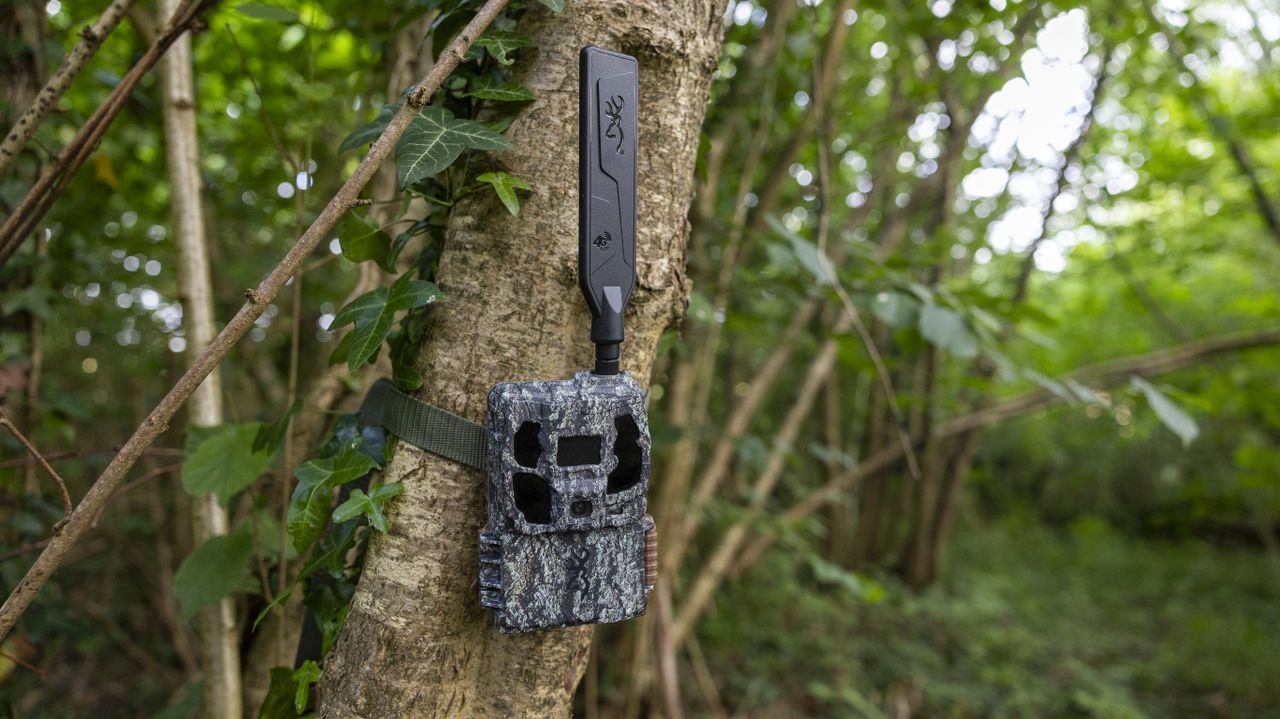 The Browning Defender Pro Scout Max Solar trail camera attached to a tree in a woodland