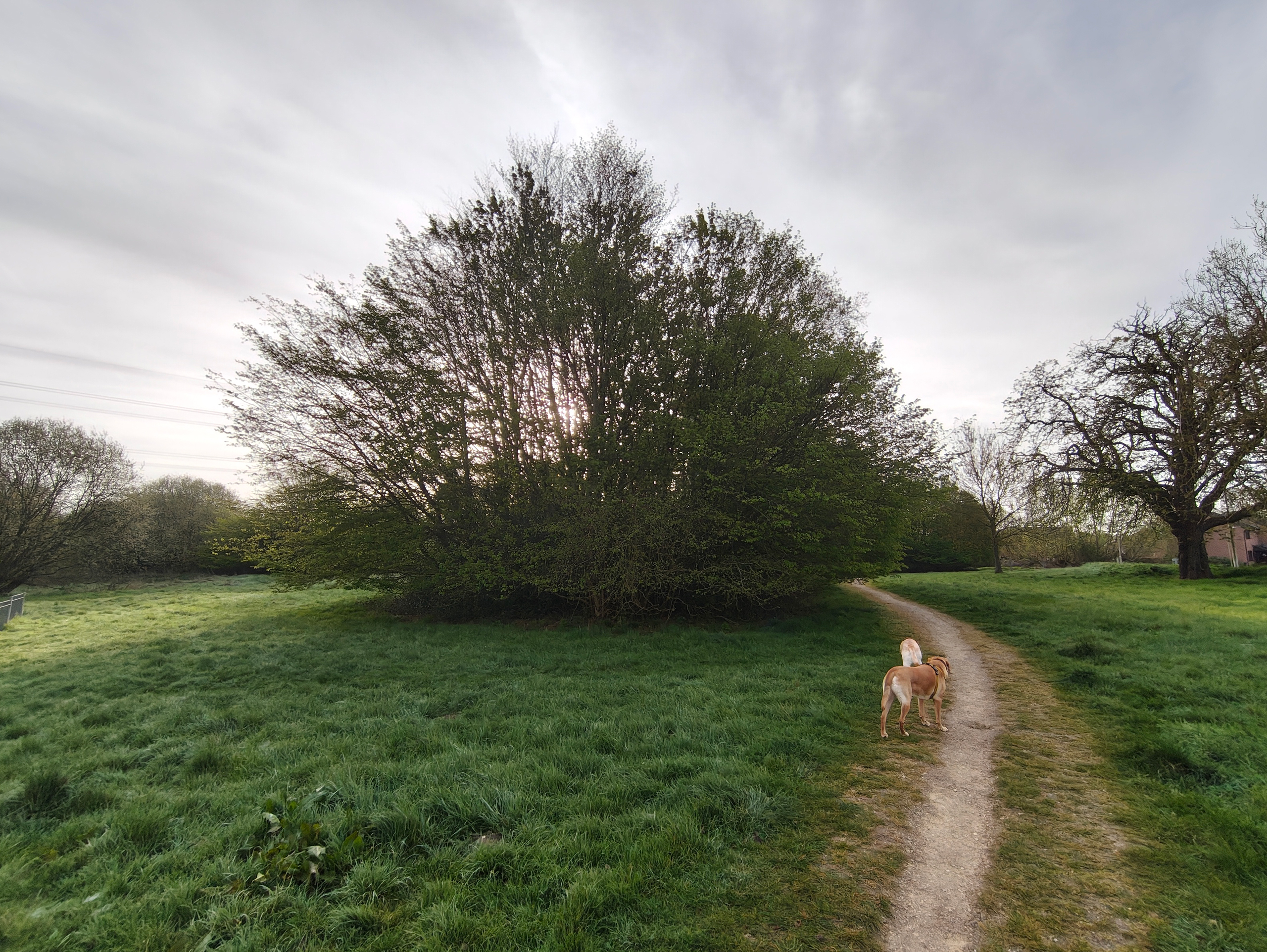 Nothing Phone 4a Pro review