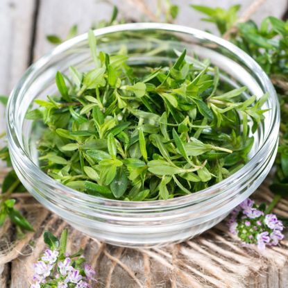 winter savory harvested in a dish and on table