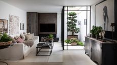 Living room ideas