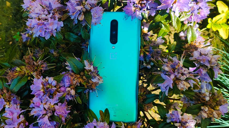 OnePlus 8 review: 5 things to know about this 5G handset