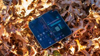 Google Pixel 9 Pro Fold in leaves