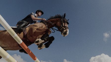 A horse and rider clear a fence against blue sky in a PJL promotional shot