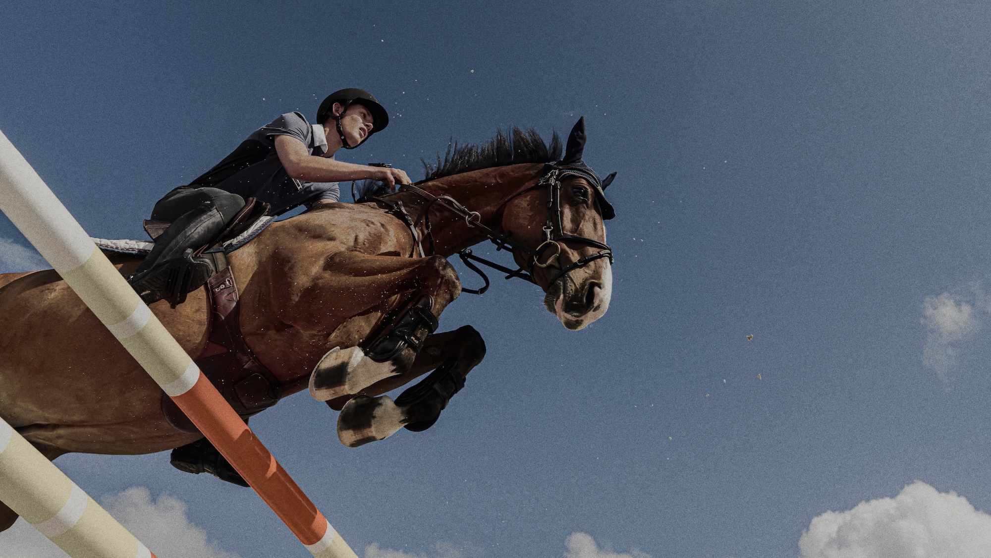 A horse and rider clear a fence against blue sky in a PJL promotional shot