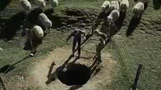 A swarm of sheep closing in on two people in Black Sheep