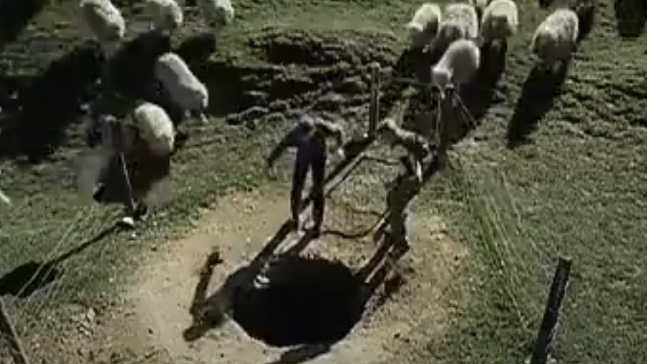 A swarm of sheep closing in on two people in Black Sheep