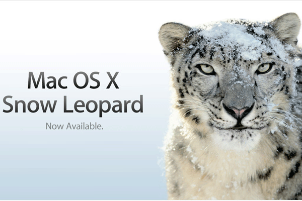 Snow Leopard