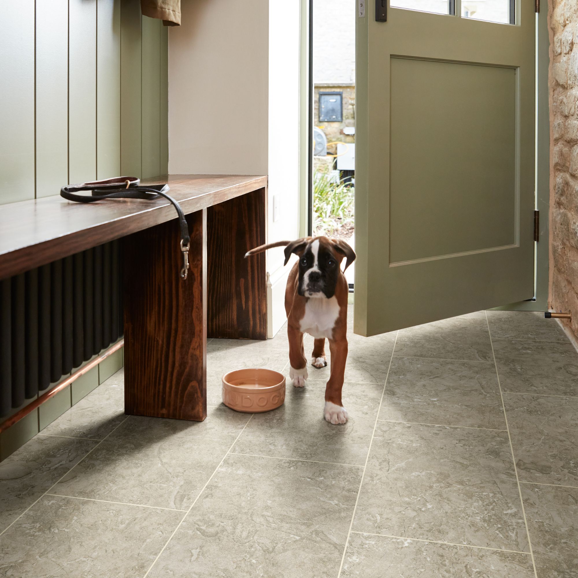 dog with dog bowl walking into the house from garden