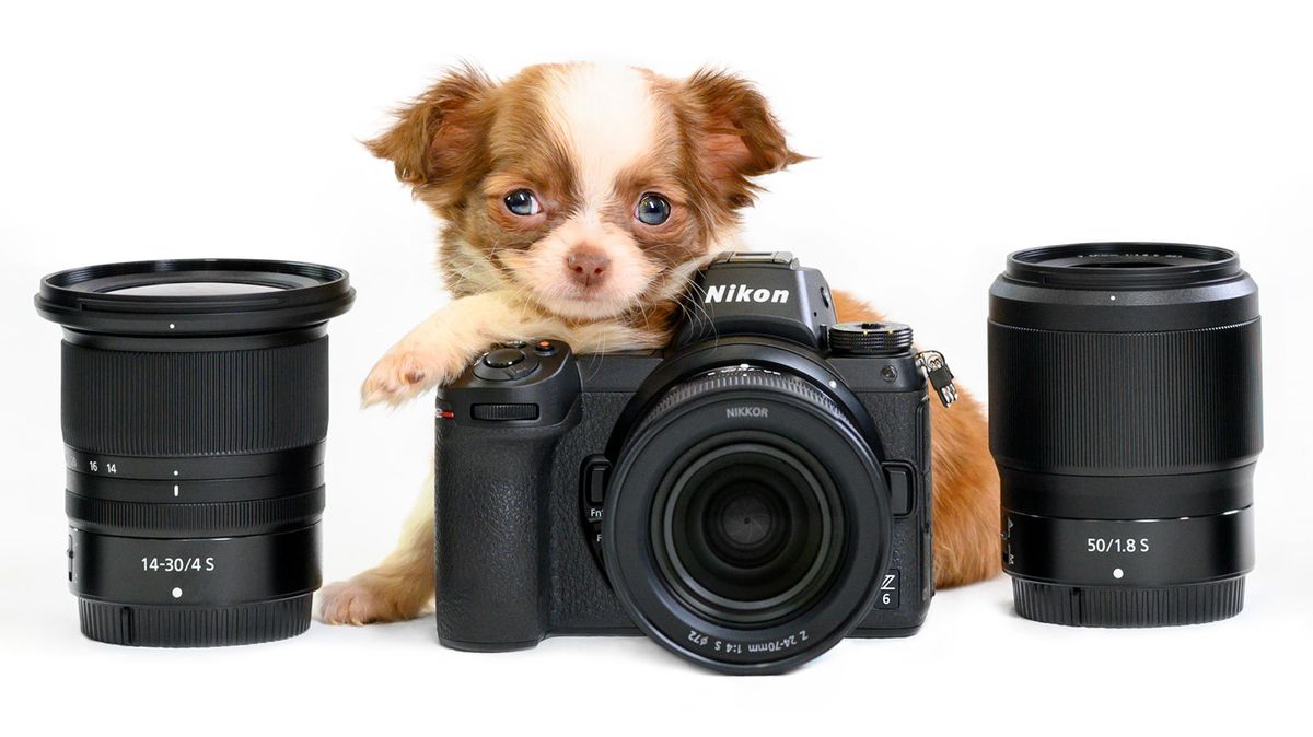 Has Nikon gone barking mad?