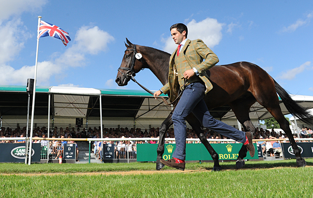 Ben Way riding GALLEY LIGHT during the 1st Vet Check at The Land Rover Burghley Horse Trials near Stamford in Lincolnshire UK on 31st August 2016