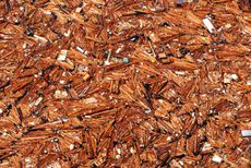 tsunami, tohoku earthquake, japan, japanese earthquake, tsunami debris, radioactive debris, radioactivity, pacific garbage patch, hawaii