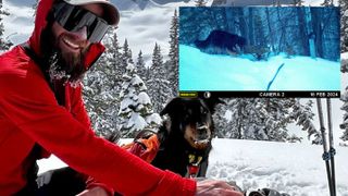 After $36,500, and 341 days, man sees lost dog for first time after avalanche—thanks to trail cameras!