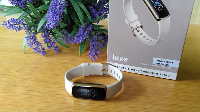 download fitbit luxe