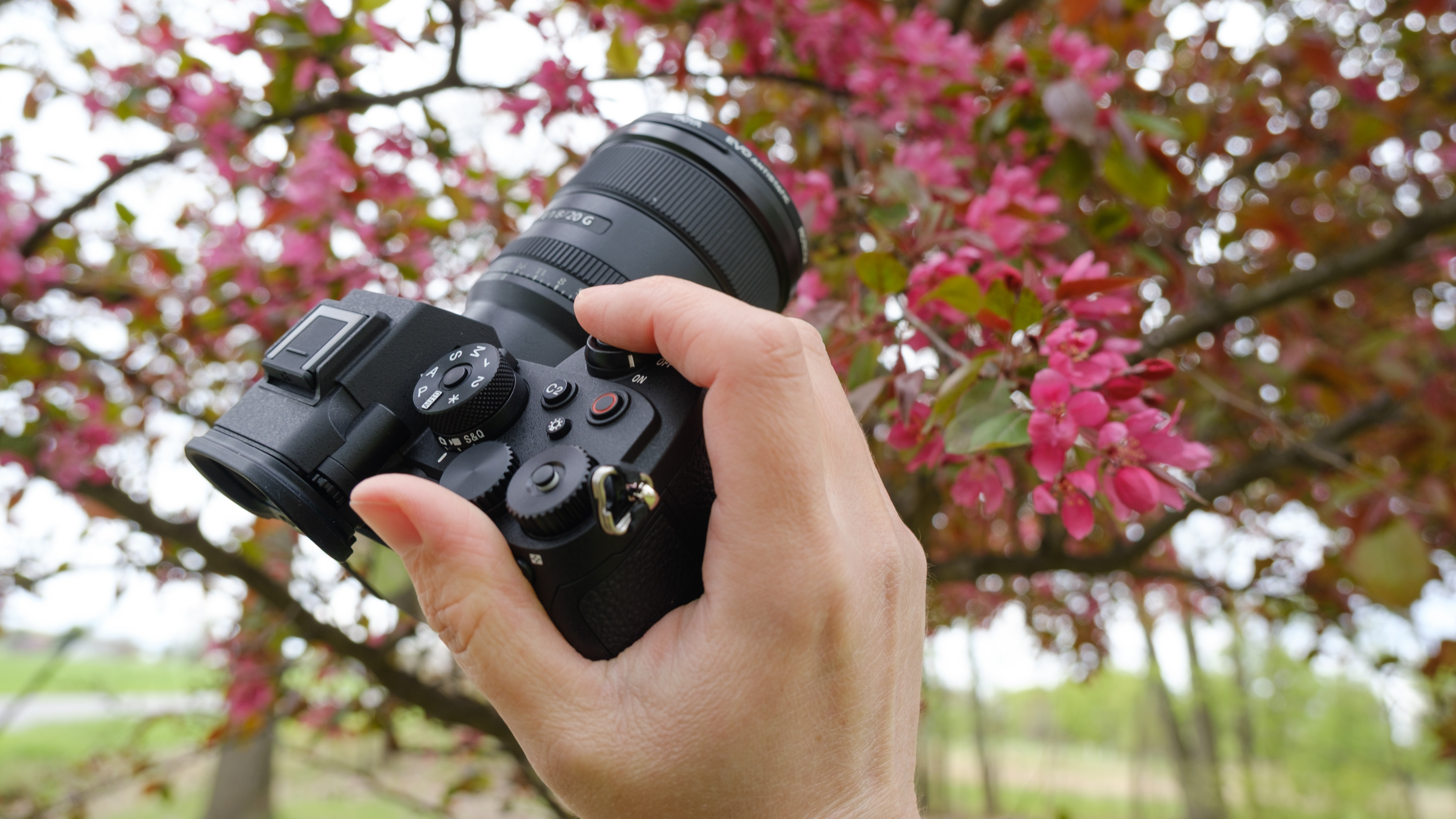 The Sony A7R VI photographed outdoors
