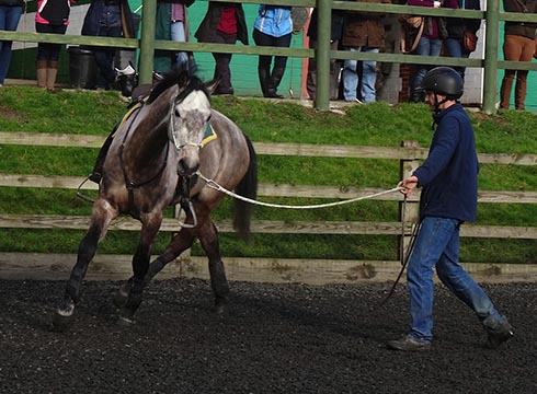 Jason Webb lunging a horse