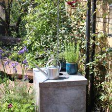 Metal rain pot with plants and a watering can on top in an established garden