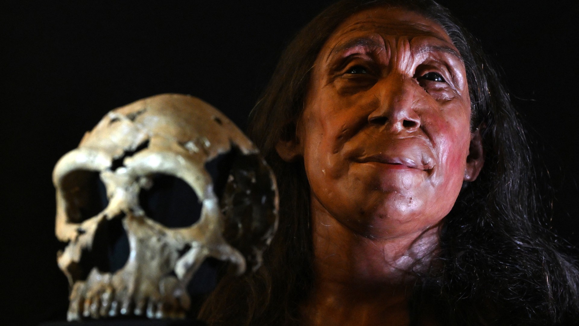 Side-by-side image of the skull of the Neanderthal 'Shanidar Z' on the left with her facial reconstruction on the right. She can be seen with flowing long brown hair and a determined gaze.