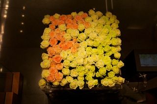 cream and orange roses displayed to spell out the letter F