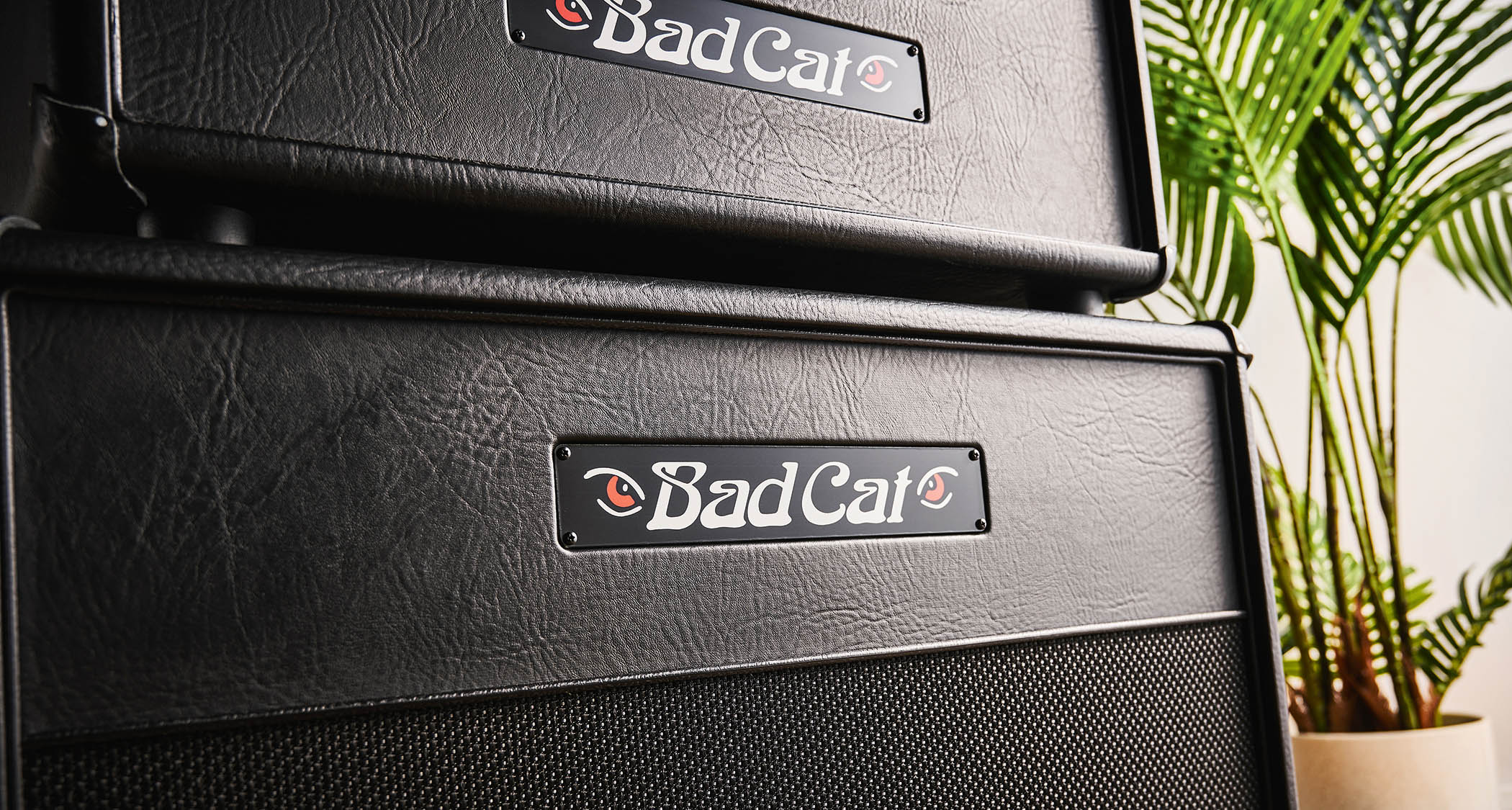 Bad Cat Era 30