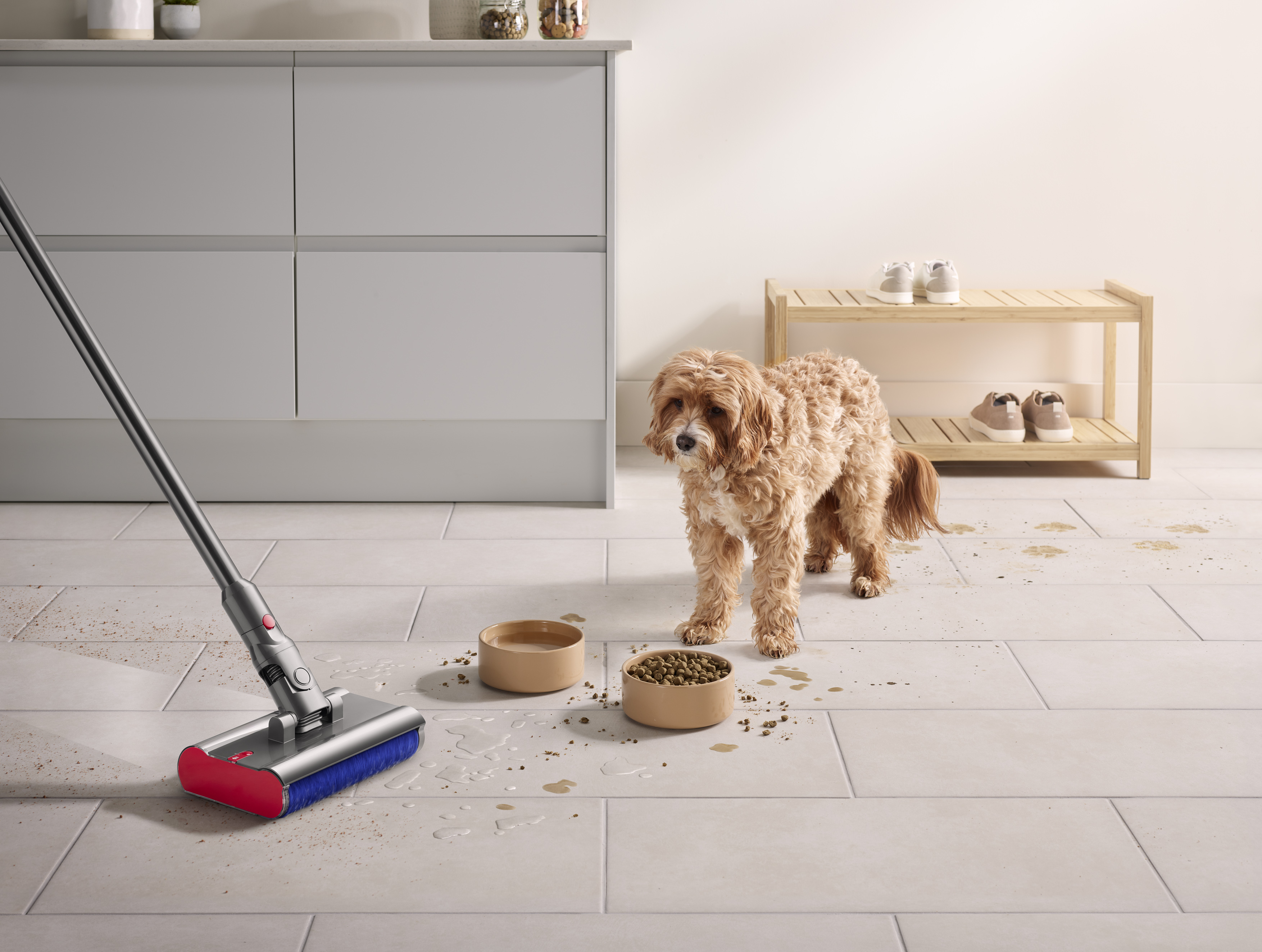 Dyson vacuum in lifestyle