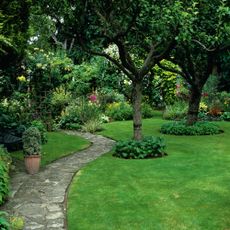 garden with green lawn, curved borders and green trees