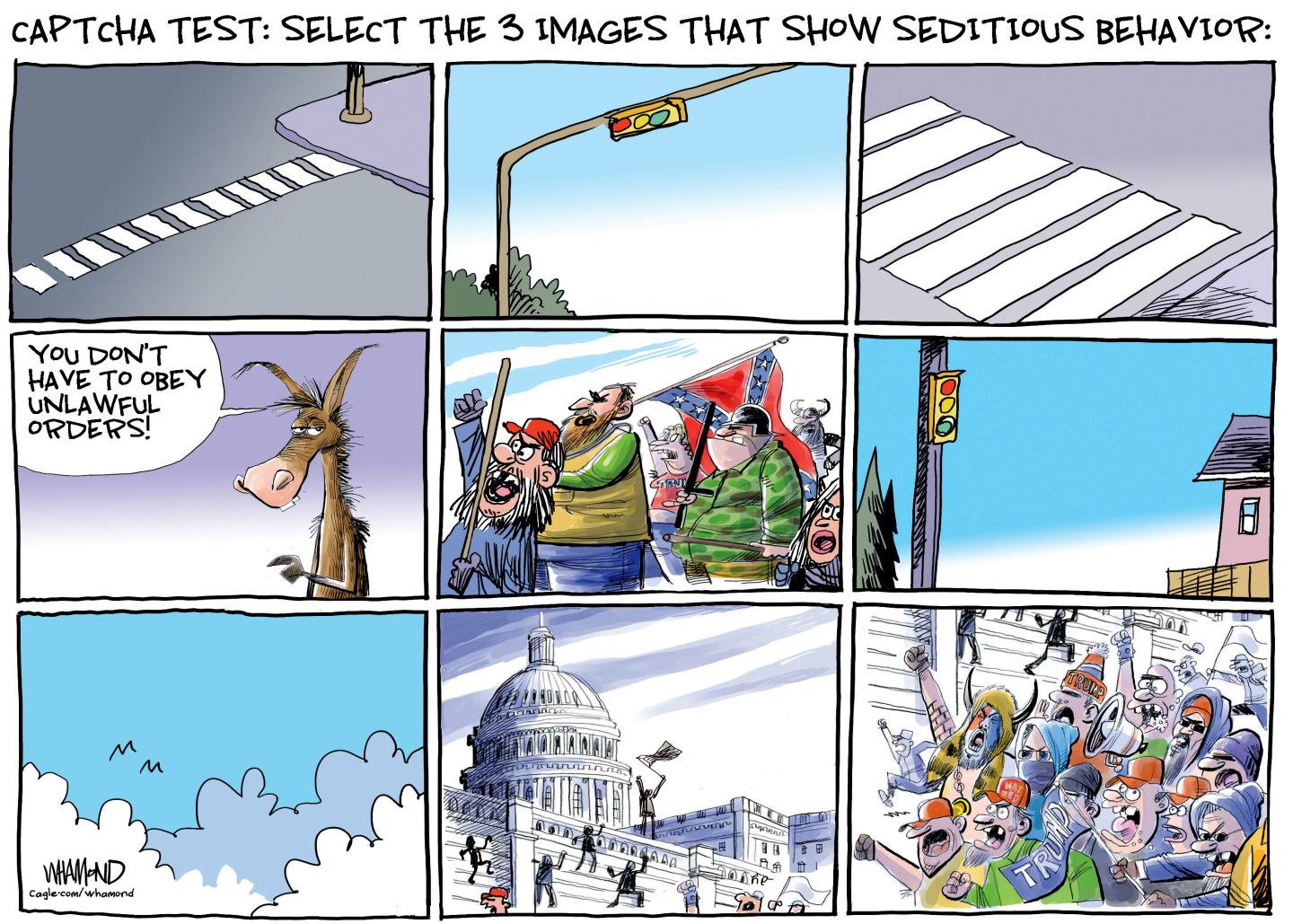 This nine-panel cartoon is titled &amp;ldquo;Captcha test: Select the 3 images that show seditious behavior:&amp;rdquo; Three of the panels show innocuous scenes, including sidewalks and traffic lights. One shows a donkey who says, &amp;ldquo;You don&amp;rsquo;t have to obey unlawful orders!&amp;rdquo; Other panels show Trump supporters rioting at the U.S. Capitol building and a group of angry-looking men with rifles and a Confederate flag.
