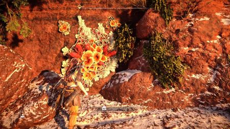 Horizon Forbidden West red crystal growths called Firegleam