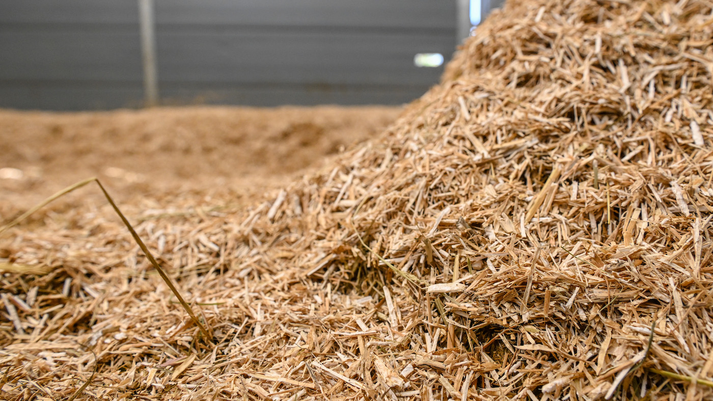 Chopped rape straw, horse bedding as used by Harry Meade