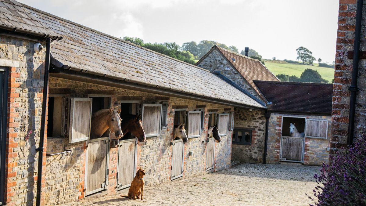 Building your own stables and things you should be aware of | Horse & Hound