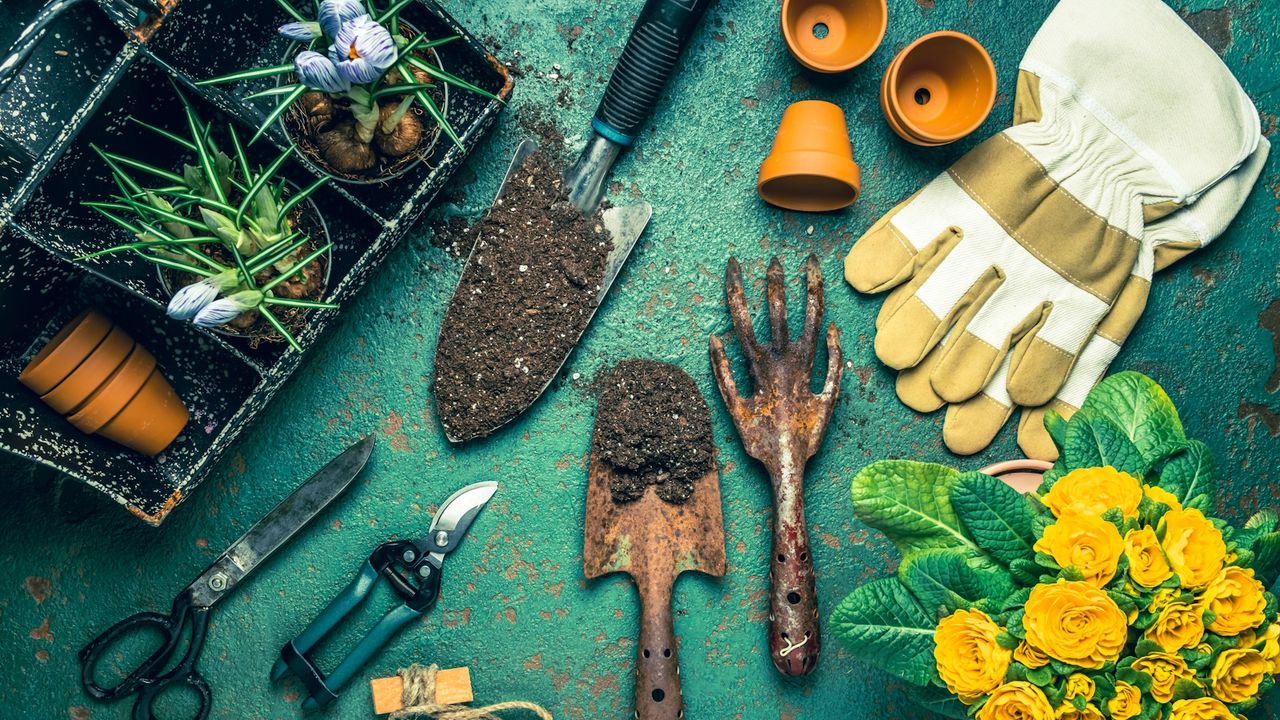 Spring gardening table - gardening tools with plants, flowerpots and soil on green table