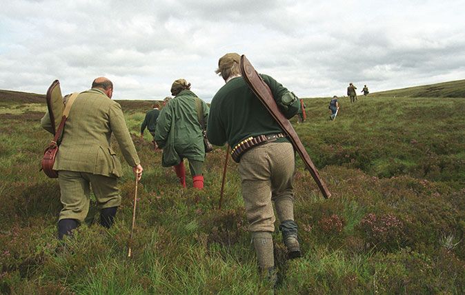 Grouse shooting in the Scottish Highlands