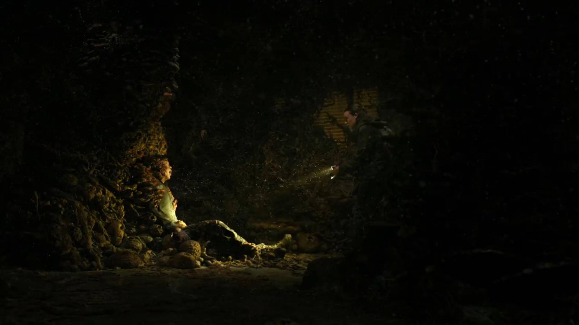The Last of Us