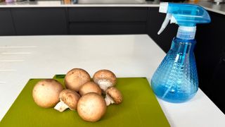 Homemade mushroom aphid repellent