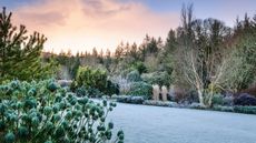 Winter jobs in the garden: RHS Rosemoor