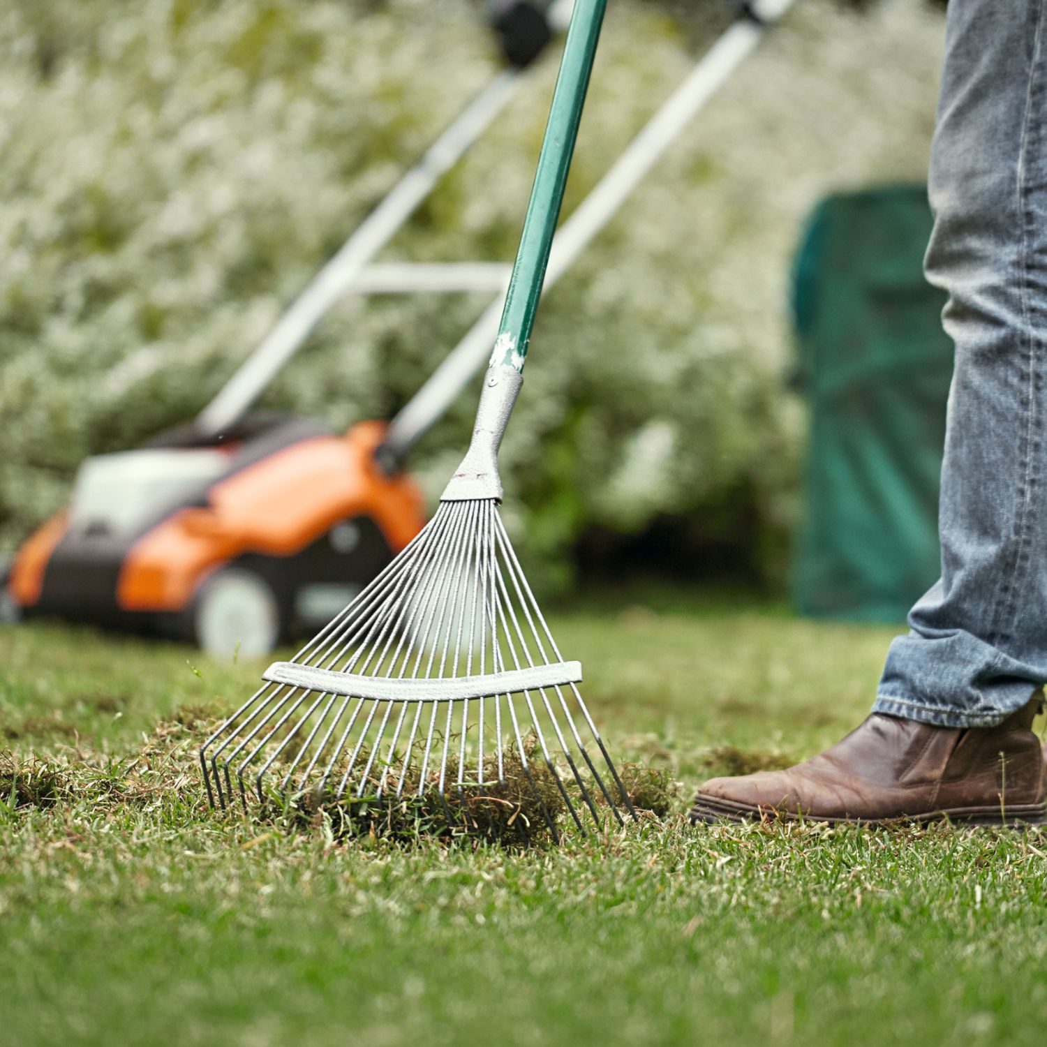 Scarifying vs dethatching – everything you need to know | Ideal Home