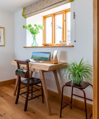 home office with a desk and spider plant on a small table