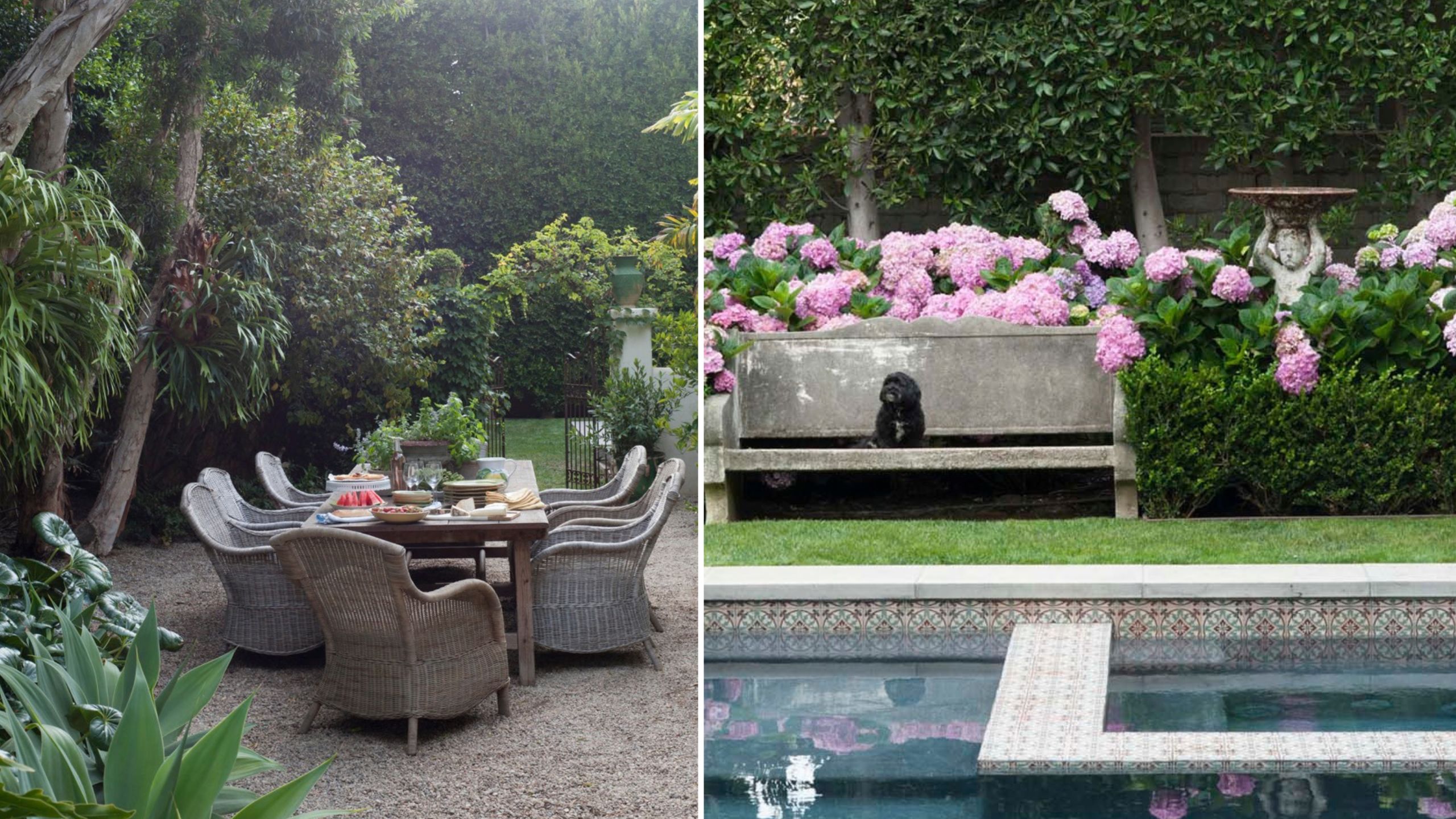 Stephen Block's garden