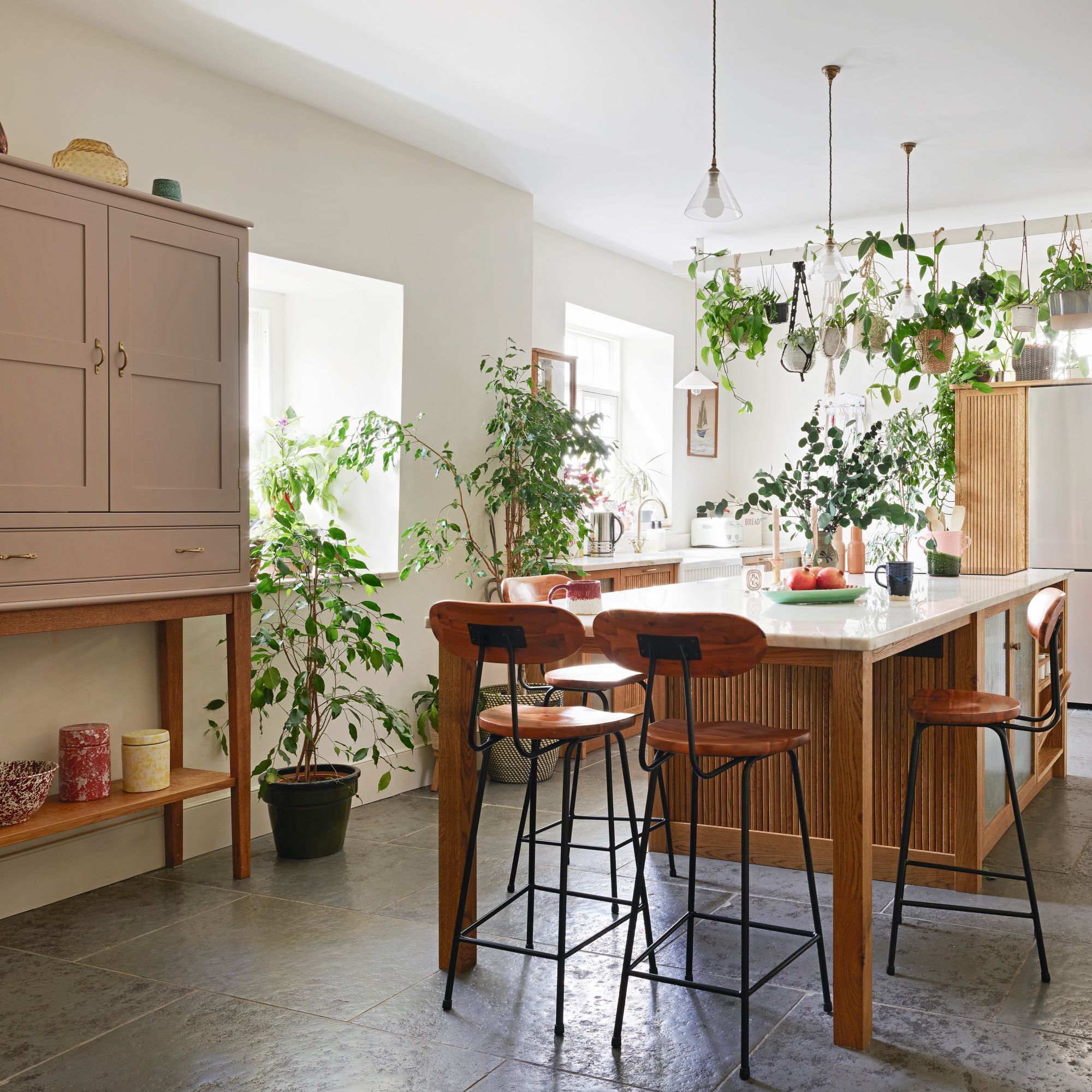 dining table in kitchen with lots of plants