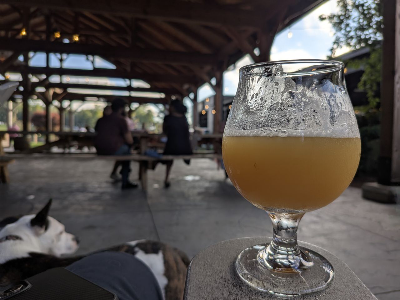 Google Pixel 9 Pro Fold camera image samples