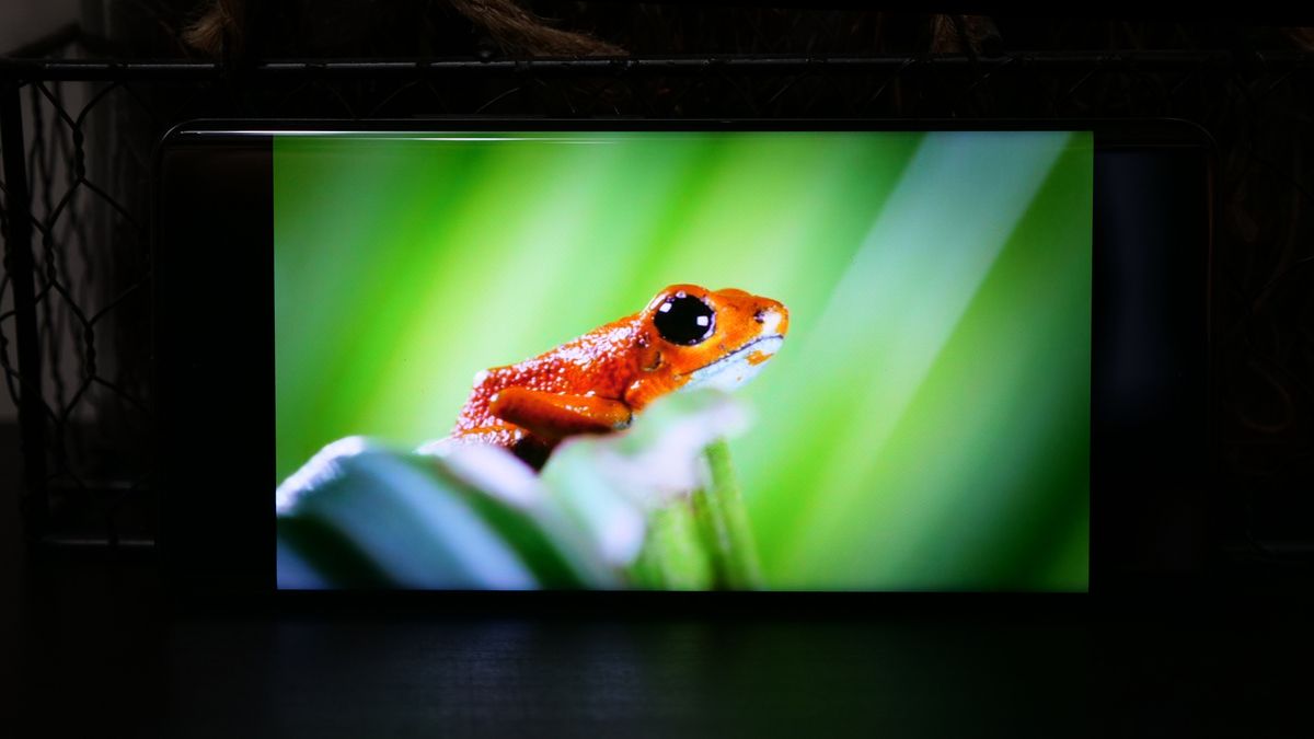 Xiaomi 12 Pro review: HyperCharged and ready to go | Laptop Mag