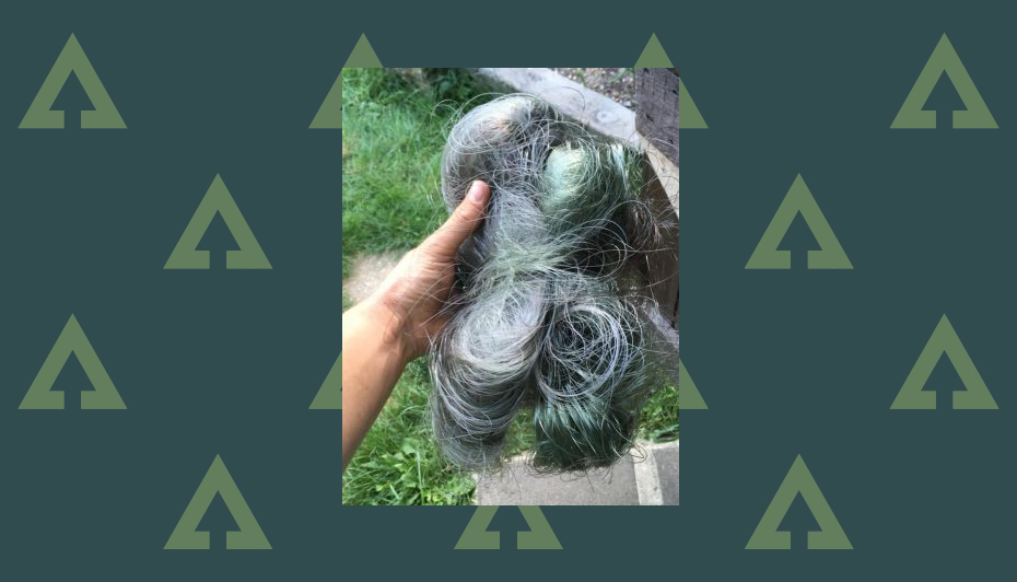 Could biodegradable line be the future of reels? Advnture